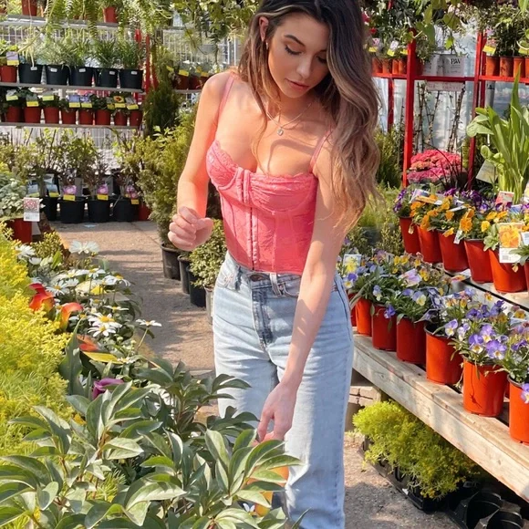 Pink Lace Bustier Top - Picture 3 of 3